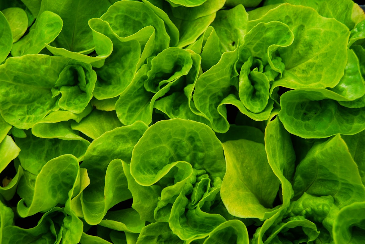 Antiossidanti naturali per la salute visiva